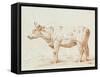 Sepia Grazing Cow sketch II-Jean Bernard-Framed Stretched Canvas