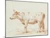 Sepia Grazing Cow sketch II-Jean Bernard-Mounted Art Print