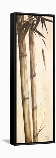 Sepia Guadua Bamboo I-Patricia Pinto-Framed Stretched Canvas