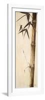 Sepia Guadua Bamboo II-Patricia Pinto-Framed Art Print