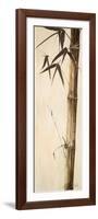 Sepia Guadua Bamboo II-Patricia Pinto-Framed Premium Giclee Print