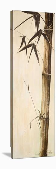Sepia Guadua Bamboo II-Patricia Pinto-Stretched Canvas