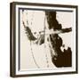 Sepia H-Franka Palek-Framed Giclee Print