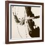 Sepia H-Franka Palek-Framed Giclee Print