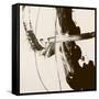 Sepia H-Franka Palek-Framed Stretched Canvas