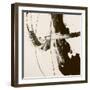 Sepia H-Franka Palek-Framed Giclee Print