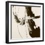 Sepia H-Franka Palek-Framed Giclee Print