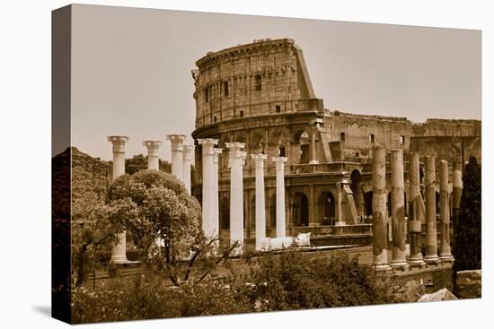 Sepia image of columns of the Forum and Colosseum or Roman Coliseum at dusk with streaked car li...-null-Stretched Canvas