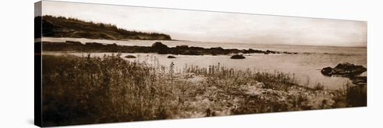 Sepia Island Shores I-Amy Melious-Stretched Canvas