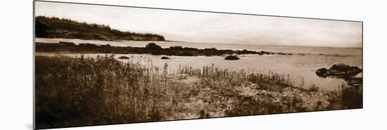 Sepia Island Shores I-Amy Melious-Mounted Premium Giclee Print