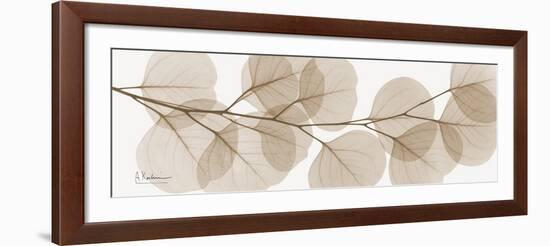 Sepia Kaluptos eucalyptus-Albert Koetsier-Framed Art Print