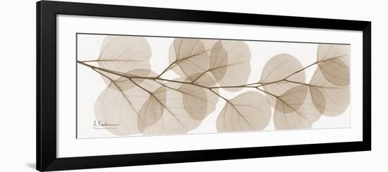 Sepia Kaluptos eucalyptus-Albert Koetsier-Framed Art Print