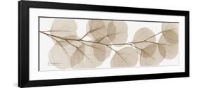 Sepia Kaluptos eucalyptus-Albert Koetsier-Framed Art Print