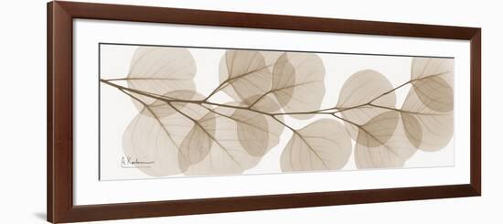 Sepia Kaluptos eucalyptus-Albert Koetsier-Framed Premium Giclee Print