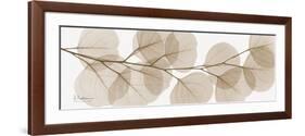 Sepia Kaluptos eucalyptus-Albert Koetsier-Framed Premium Giclee Print