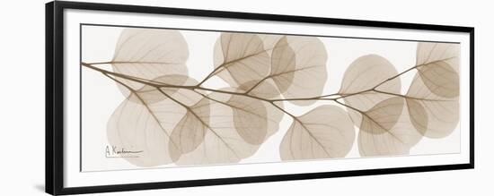 Sepia Kaluptos eucalyptus-Albert Koetsier-Framed Premium Giclee Print