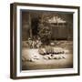 Sepia Lake Canoe House-Suzanne Foschino-Framed Photo