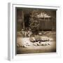 Sepia Lake Canoe House-Suzanne Foschino-Framed Photo