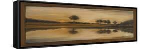 Sepia Landscape II-Nelly Arenas-Framed Stretched Canvas