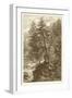 Sepia Larch Tree-Ernst Heyn-Framed Art Print