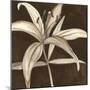 Sepia Lily II-Jennifer Goldberger-Mounted Art Print