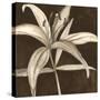 Sepia Lily II-Jennifer Goldberger-Stretched Canvas