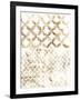 Sepia Madras IV-Vanna Lam-Framed Art Print