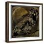 Sepia Moon Owl-Mindy Sommers-Framed Giclee Print