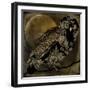 Sepia Moon Owl-Mindy Sommers-Framed Giclee Print