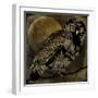 Sepia Moon Owl-Mindy Sommers-Framed Giclee Print