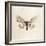 Sepia Moth-Incado-Framed Art Print