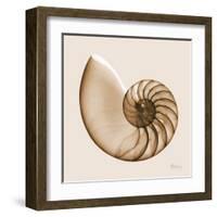 Sepia Nautilus 1-Albert Koetsier-Framed Art Print