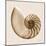 Sepia Nautilus 1-Albert Koetsier-Mounted Art Print