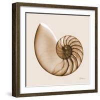 Sepia Nautilus 1-Albert Koetsier-Framed Art Print