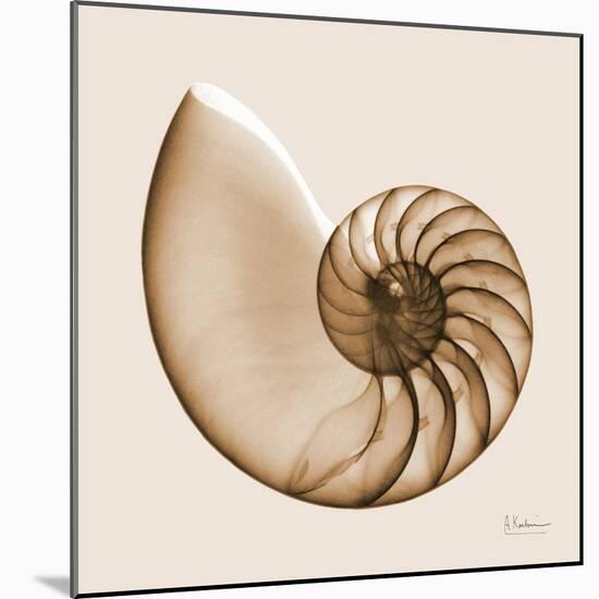 Sepia Nautilus 1-Albert Koetsier-Mounted Art Print