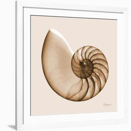 Sepia Nautilus 1-Albert Koetsier-Framed Art Print