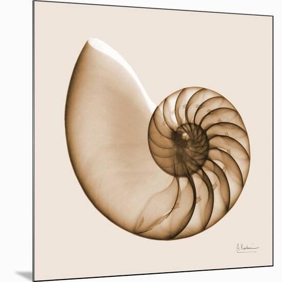 Sepia Nautilus 1-Albert Koetsier-Mounted Art Print