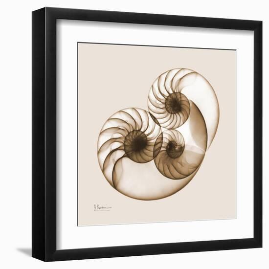 Sepia Nautilus 2-Albert Koetsier-Framed Art Print