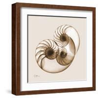 Sepia Nautilus 2-Albert Koetsier-Framed Art Print