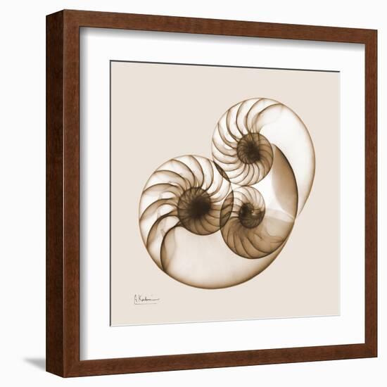 Sepia Nautilus 2-Albert Koetsier-Framed Art Print