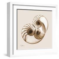 Sepia Nautilus 2-Albert Koetsier-Framed Art Print