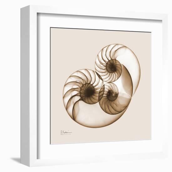 Sepia Nautilus 2-Albert Koetsier-Framed Art Print