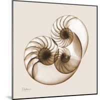 Sepia Nautilus 2-Albert Koetsier-Mounted Art Print