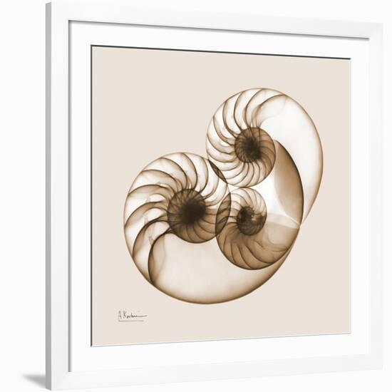 Sepia Nautilus 2-Albert Koetsier-Framed Art Print