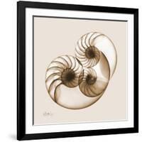 Sepia Nautilus 2-Albert Koetsier-Framed Art Print