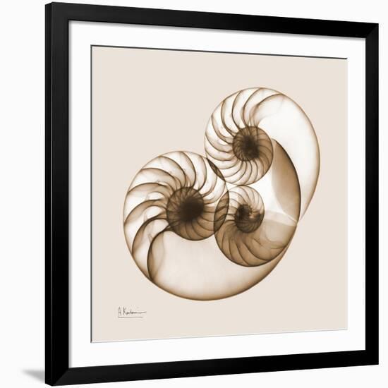 Sepia Nautilus 2-Albert Koetsier-Framed Art Print