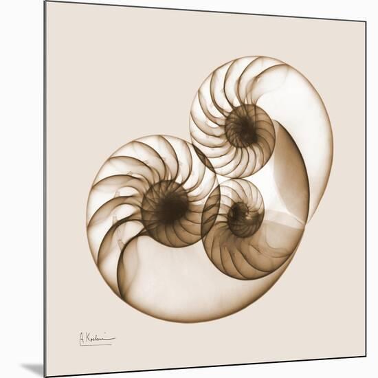 Sepia Nautilus 2-Albert Koetsier-Mounted Art Print