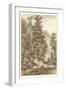 Sepia Noble Fir-Ernst Heyn-Framed Art Print