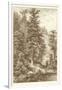 Sepia Noble Fir-Ernst Heyn-Framed Art Print