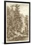 Sepia Noble Fir-Ernst Heyn-Framed Art Print